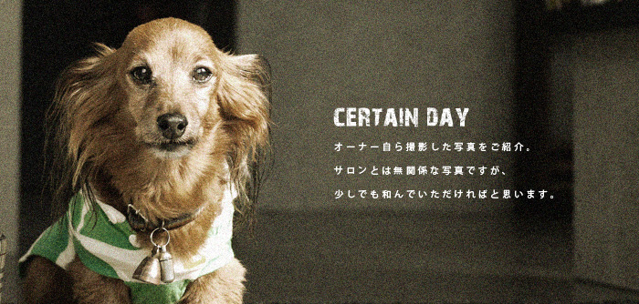certain day